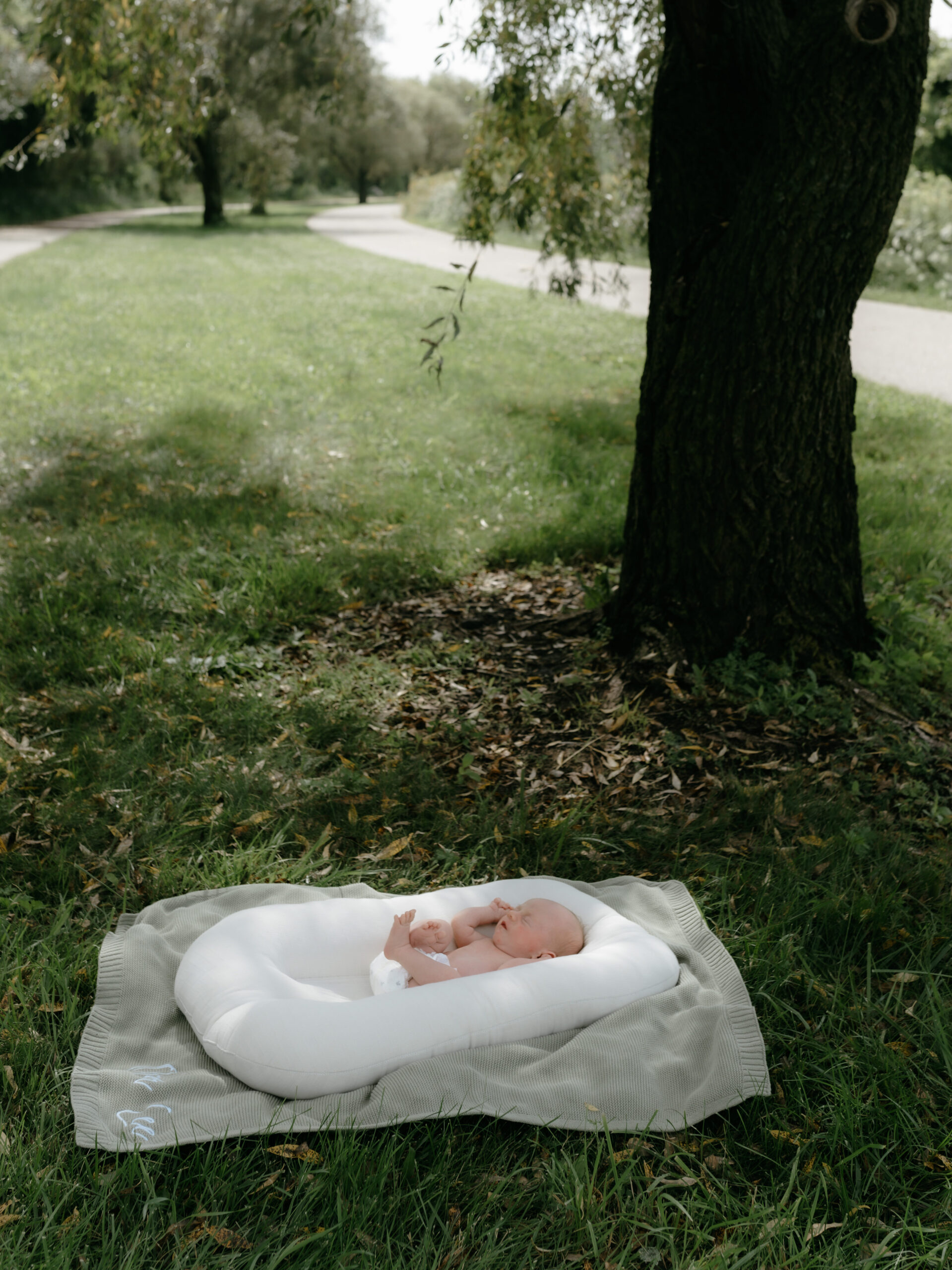 Newborn sleeping inside a white lounger resting on a blanket under a shade tree in a park.